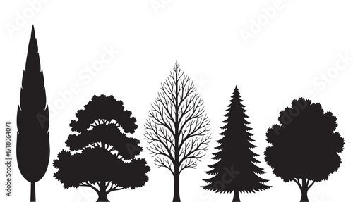 Set of tree silhouettes diverse vector collection of forest trees isolated on white background