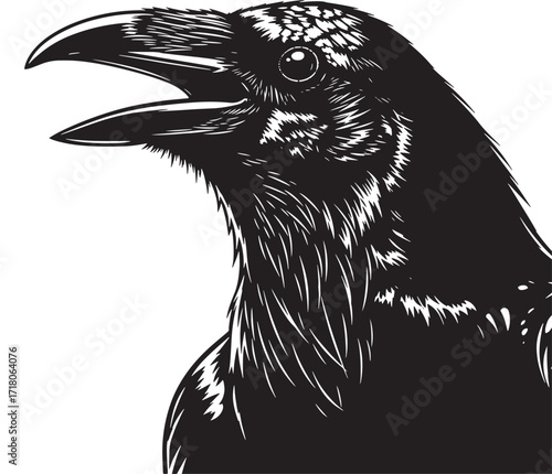 Detailed raven illustration black and white vector design ideal for mythology or gothic themes