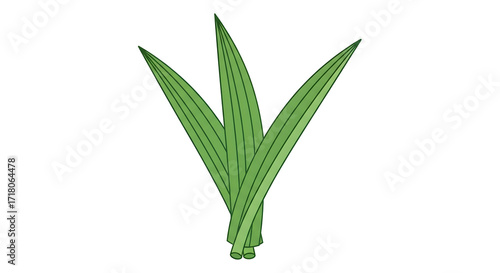 Wallpaper Mural A simple illustration of three long, green pandan leaves tied together at the base. Torontodigital.ca