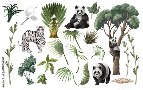 Detailed Isolated Panda Trio Surrounded by Tropical Jungle Foliage Plants Vector Illustration