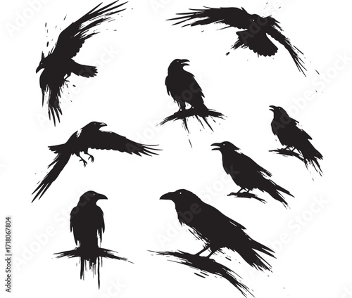 Nine crow silhouettes ink style set dark birds gothic vector illustration isolated on white background