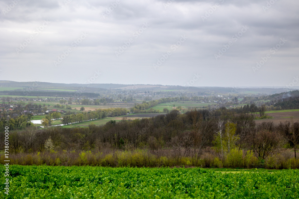 Fototapeta premium A view of Mliyiv village, Cherkasy region, Ukraine, in the Vilshanka River valley, during spring late April. The photo shows houses and buildings surrounded by green fields and rolling hills
