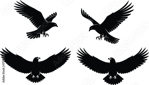 Bird silhouette, eagle landing, hawk flight, raptor talons, predator motion, wings spread, wildlife icon, nature, vector, isolated