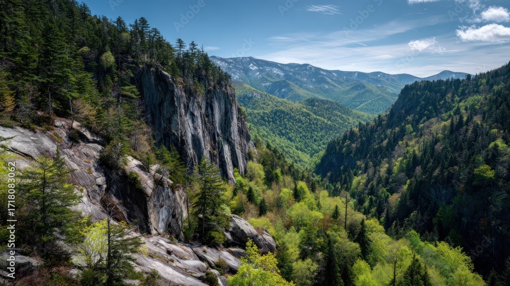 Obraz premium Mountain view landscape