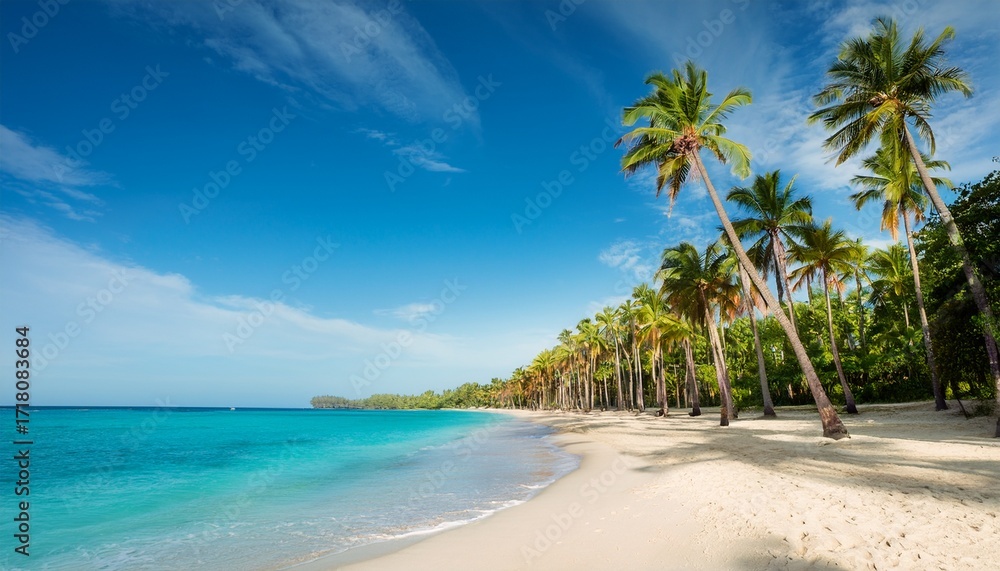 Obraz premium Tropical Beach That Tall Palm Trees Line On Shore Creating A Pure Unspoiled Paradise