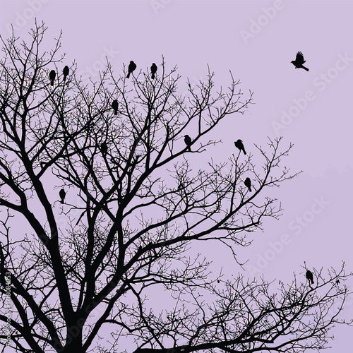 Silhouette of a bare tree with many birds perched on its branches.