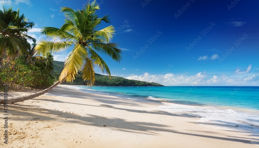 Fototapeta premium Tropical Beach With Palm Trees