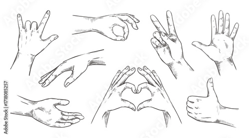 Finger sketch. Hand thumb up or down point. Vintage vote draw. Fist front view. Dislike gestures drawing. People gesticulating. Victory and peace symbols. Vector engraving elements set