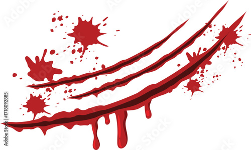 vector illustration of bloody cut
