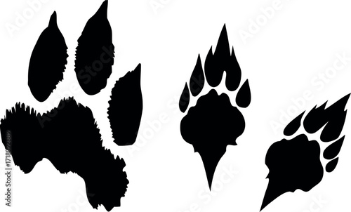 Animal paw scratch silhouette vector, Tiger, cougar, bear, wolf, monster claw marks