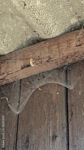 A long, delicate cobweb stretches between an old wooden beam and a ceiling, gently swaying in the breeze. Video 4k