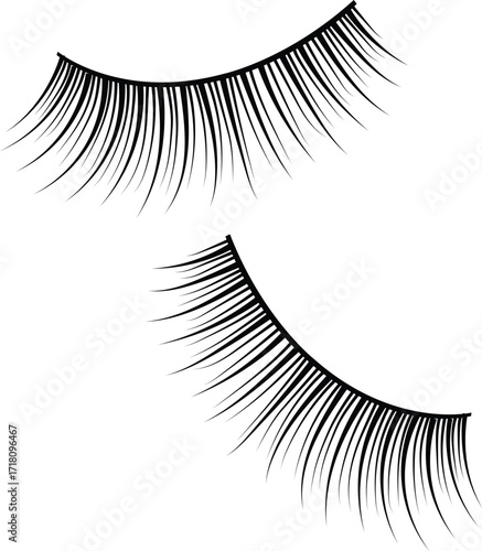 vector illustration of eyelash extension