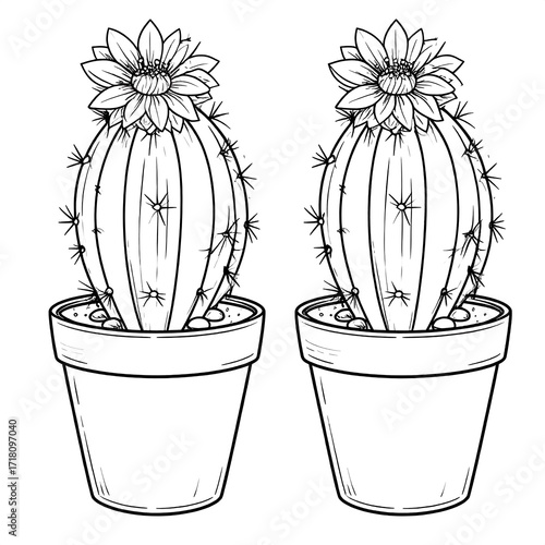 Two potted cacti, outlined drawing