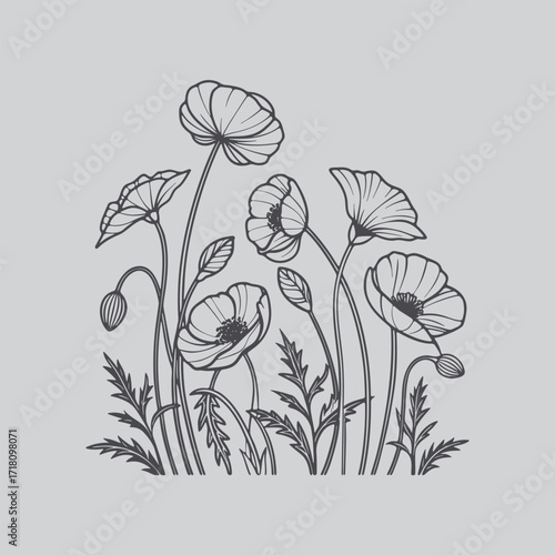 Hand Drawn Poppy Stem Illustration