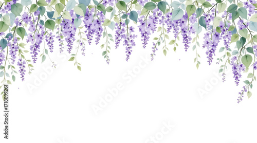 Watercolor illustration of beautiful purple wisteria flowers hanging Isolated on transparent background