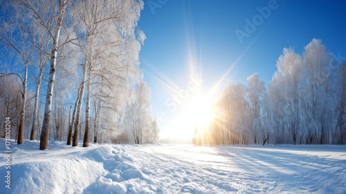Snowy winter landscape with clear blue skies and bright sun shining, frost-covered trees glistening,
