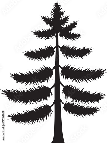 A detailed black silhouette of a tall evergreen pine tree silhouette
