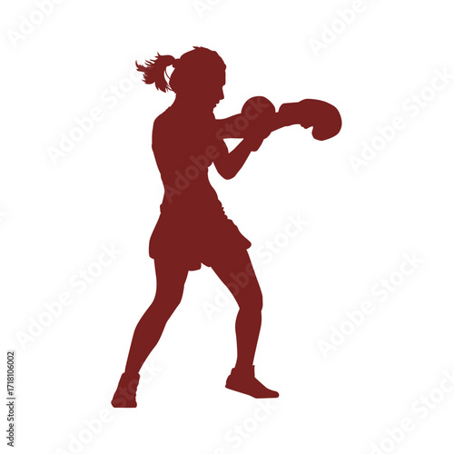 silhouette of a boxer