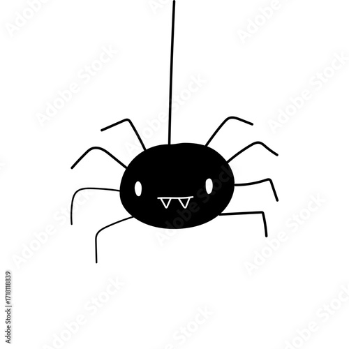 spider on a white