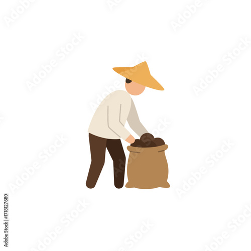 Farmer wearing a conical hat collecting produce into a sack.
