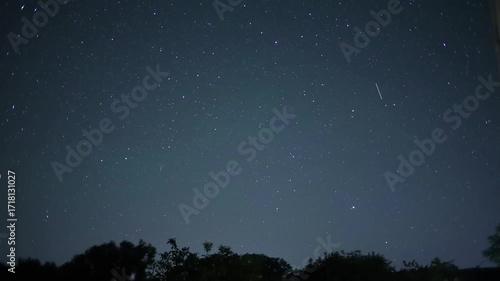 Starry night sky moving over the trees