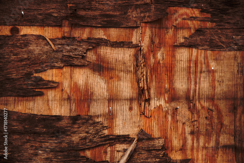 Autumn trend Burnt Wood. Burnt Wood color. Autumn style. Burnt Wood. Wood texture. Dark toned wood texture