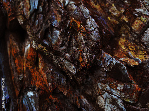 Autumn trend Burnt Wood. Burnt Wood color. Autumn style. Rock texture. Geodesy and geology. Burnt Wood tinted minerals.