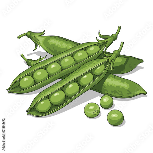 Fresh green peas in their pods with some shelled peas scattered around a simple white background.