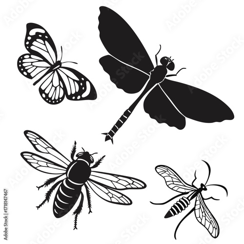 Black Silhouette Insects Collection Dragonfly Butterfly Fly Beetle Keywords: insect, dragonfly