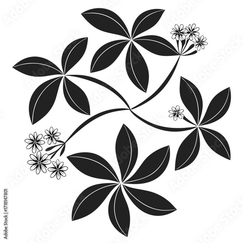 Black Silhouette of Stylized Leaves and Flowers on White