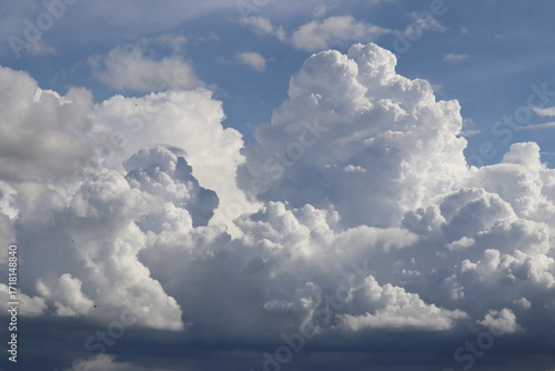 Obraz na płótnie Cloudscape of Cumulus Majesty: A breathtaking view of fluffy, white cumulus clouds billowing against a vibrant blue sky, evoking feelings of peace and wonder