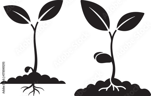Two growing seedlings silhouette