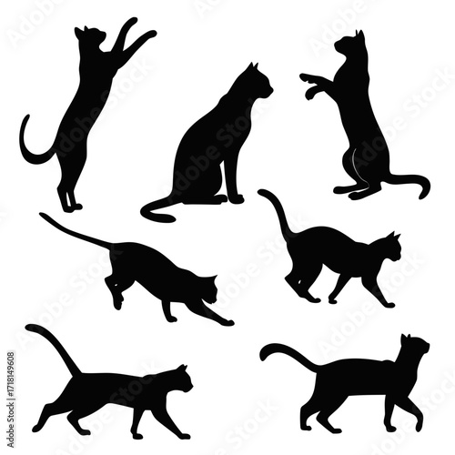 Collection of Black Cat Silhouettes in Action animal