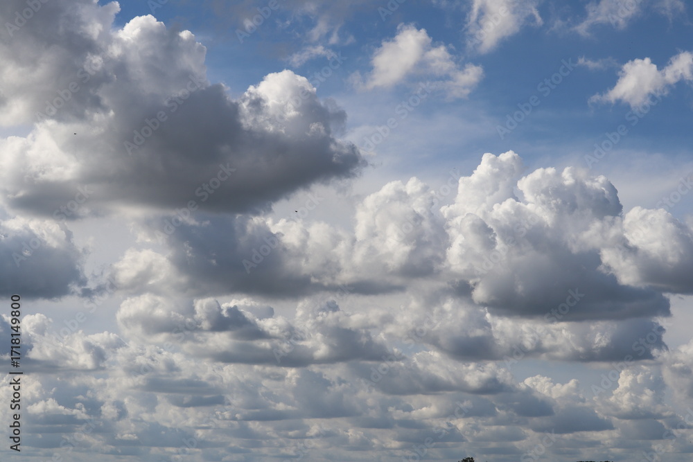 Obraz premium Clouds in the Blue Sky: A tranquil shot captures the fluffy white clouds drifting across the vast expanse of a clear, blue sky. The image evokes a sense of calm and endless possibility.