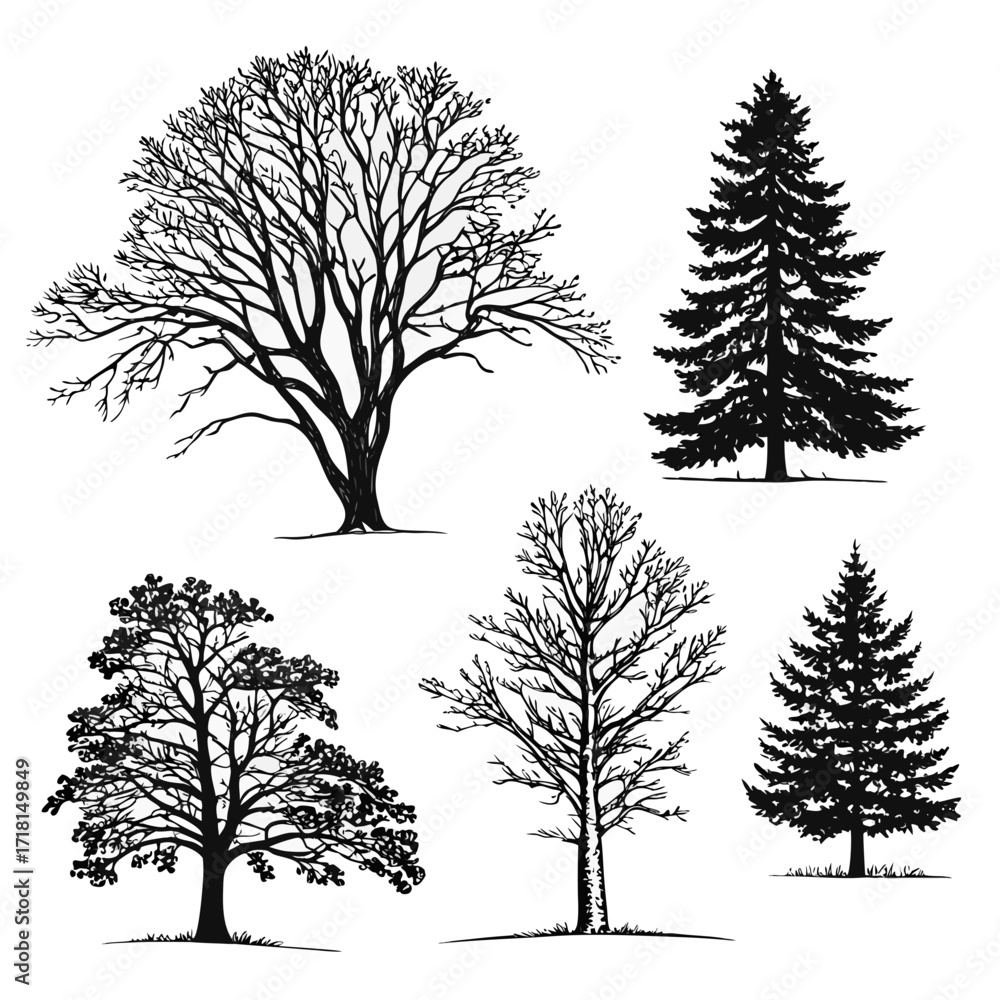 Fototapeta premium Collection of five black tree silhouettes on white background Keywords: tree, silhouette, nature
