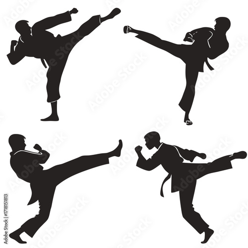 Dynamic Silhouettes of Four Martial Arts Fighters Kicking