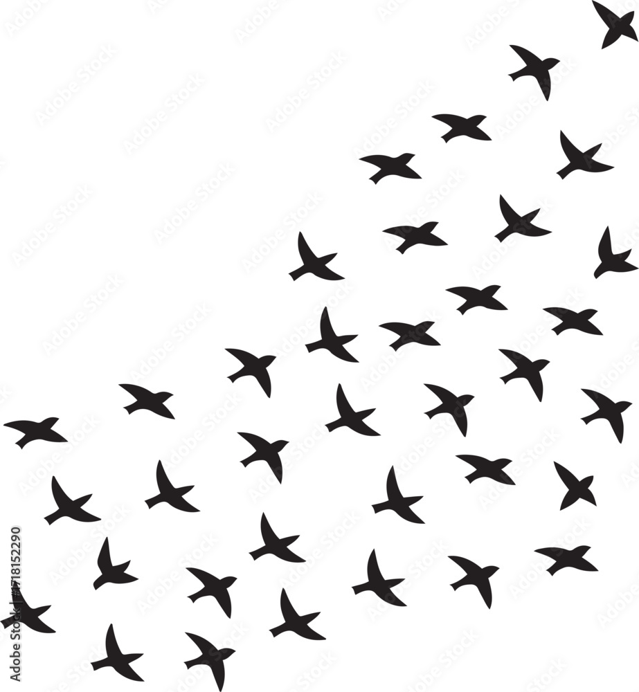 Fototapeta premium Flock of Birds Silhouette Flying with Transparent Background for Freedom and Nature Themes