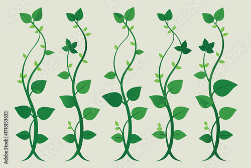 Vector art of five green beanstalks with leaves are presented