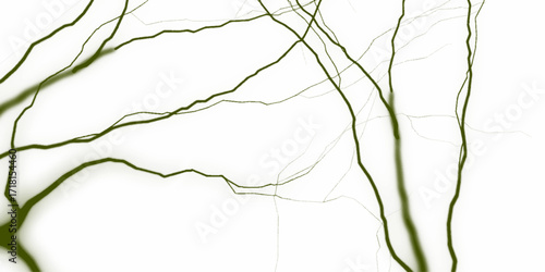 Detailed view of a white, green marble texture, showcasing intricate patterns and unique veins on the surface of the material. Seamless high-resolution white marble texture is perfect for backgrounds.