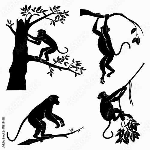 Four Silhouette Monkeys In Tree And Hanging On Branch