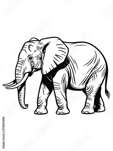 Detailed black and white sketch of a walking elephant