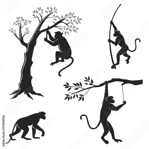 Monkeys in silhouette climbing and swinging from tree branches