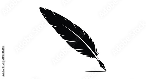 A simple black feather illustration on a plain white background