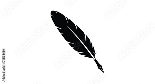 A solitary black feather floats gently against a plain white background