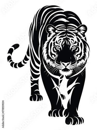 Intense tiger silhouette walking forward with striking stripes