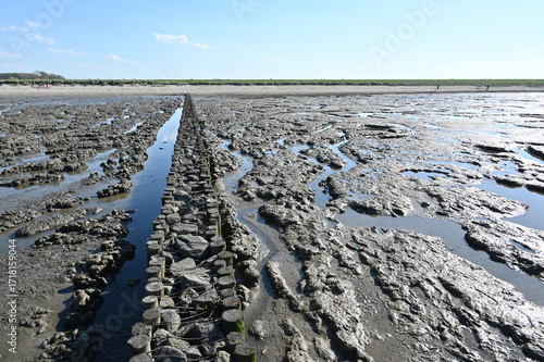Lahnung zur traditionellen Landgewinnung am Wattenmeer mit Doppelpflockreihen und zwischenliegenden Steinen.  Im umschlossenen Lahnungsfeld wird so die Sedimentation gefördert.