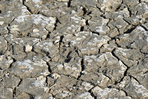 Schlick bei Ebbe in Wattenmeer