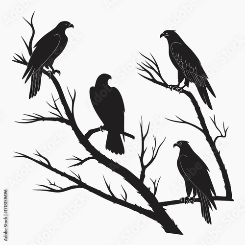 Silhouette of four birds of prey perched on bare branches