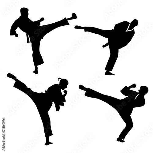 Silhouettes of Four Martial Artists Performing Kicks