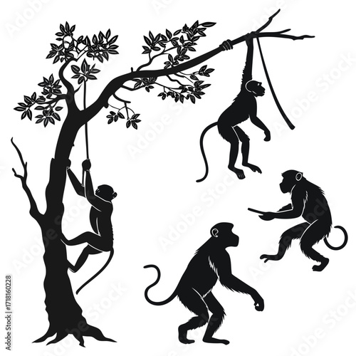Silhouettes of monkeys climbing and swinging on a tree